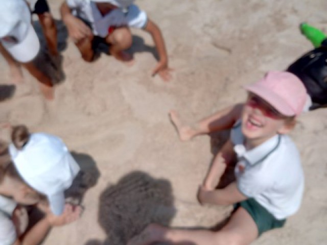 p1dqk7115f1th0l29196r1n3n1gnch