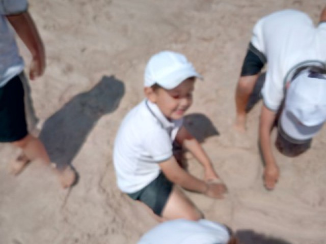 p1dqk7115j1o8djb64hd1j18ivo