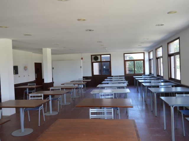 p1eie60ula16kjba1t1e1kk69llg.JPG