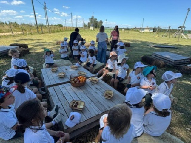 thumbnail_212b574e-9ee1-43fe-b0c4-fbedeccc6ec9_Mediana