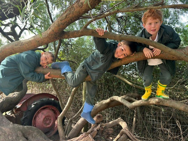 thumbnail_5f00e43a-27be-4805-972c-0d388feb885e
