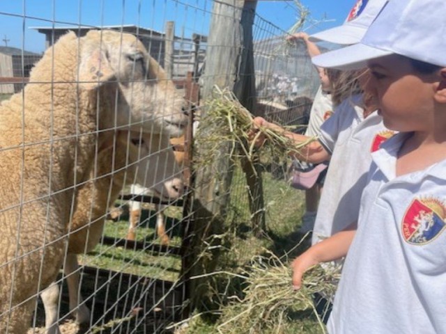 thumbnail_IMG_3238_Mediana