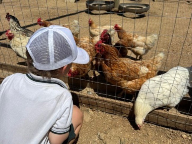 thumbnail_c72f360c-ae28-49d4-a6b1-1c08e3459393_Mediana